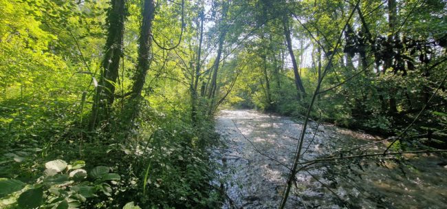 Corps de Ferme 140m2 plus dépendances