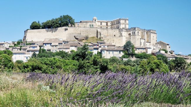 Château de Grignan dominant un champ de lavande en Drôme Provençale
